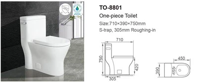 Цельный напольный унитаз